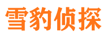 成都市侦探调查公司